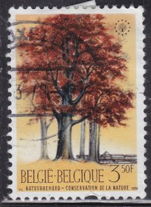 Belgium 737 European Nature Conservation 1970