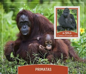 Sao Tome & Principe 2021 MNH Wild Animals Stamps Primates Lowland Gorillas 1v SS