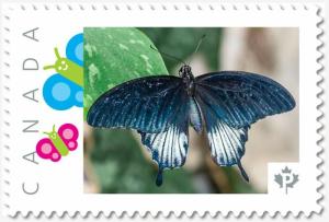 Asian Swallowtail BUTTERFLY, Custom Postage stamp MNH Canada 2018 [p18-04sn06]