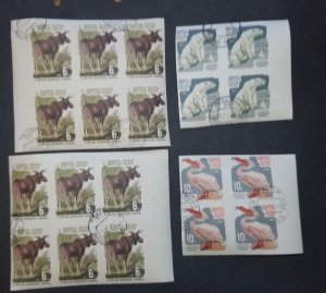 RUSSIA USSR - Animal Imperf Stamp Block Lot CTO T4108