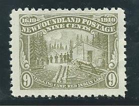 Newfoundland 94   mint   1910   PD