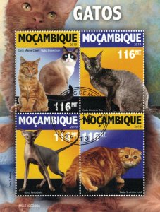 MOZAMBIQUE 2019 - Cats / minisheet