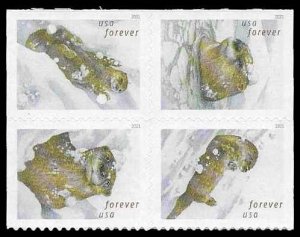 PCBstamps  US #5648/5651a Bk Block $2.32(4x{58c})Otters in Snow, MNH, (5)