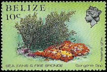 BELIZE   #705 MNH (1)