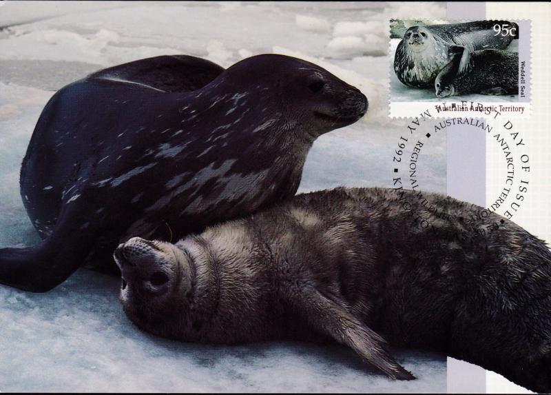 Australia 1992 Penguins Seals (5) Threatened Species MAXIMUM Cards VF