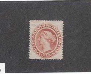 NEWFOUNDLAND # 28a MH PALE RED BROWN CAT VALUE $200