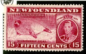 Newfoundland, Scott #239, Unused, Hinged