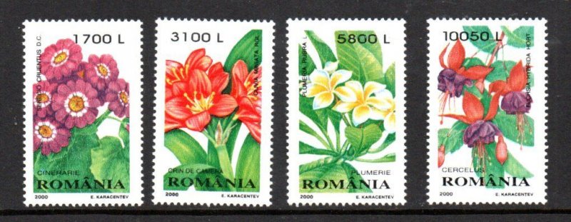 ROMANIA - 2000 - FLOWERS -