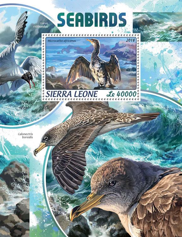 Z08 IMPERF SRL18411b Sierra Leone 2018 Seabirds MNH ** Postfrisch