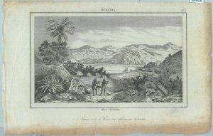 84925 - NEW ZEALAND - VINTAGE Italian Engraving 1800's