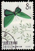 Communist China SG#2078 Used - 1963 8f.  - Butterflies