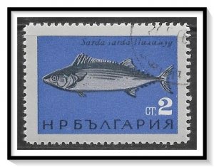 Bulgaria #1404 Black Sea Fish CTO NH