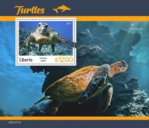 Liberia - 2021 Green Sea Turtles - Stamp Souvenir Sheet - LIB210111b 