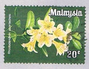 Malaysia 196 Used Rhododendron scortechinii (BP24312)