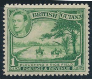 British Guiana SG 308  Yellow Green perf 12½ MNH Sc# 230 see scans  /details