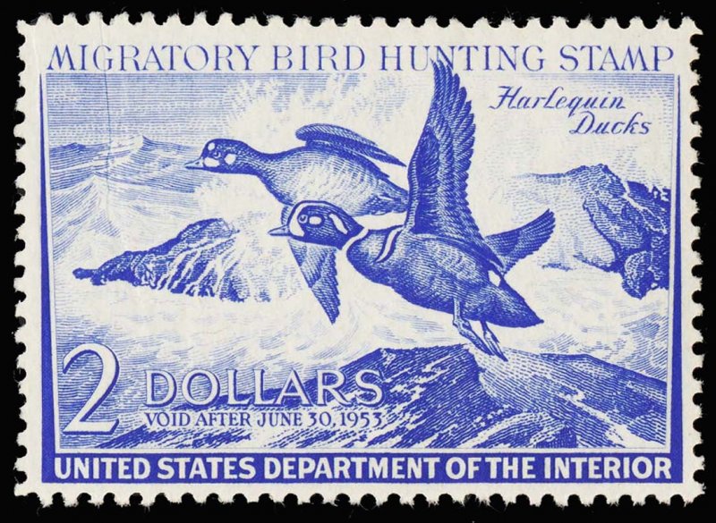 DUCK STAMPS RW19 mint NH  CV $90.00 (ID # 109614)