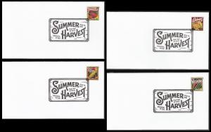 US 5004-5007 Summer Harvest (set of 4) BWP FDC 2015