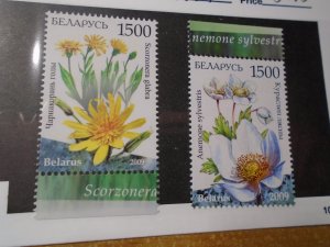 Belarus  #  698-99  MNH   Flowers