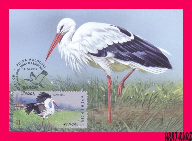 MOLDOVA 2019 Europa CEPT Nature Fauna Bird White Stork Maxicard Maximum Card