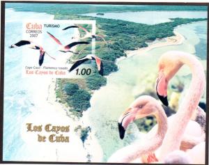 CUBA 4709 MNH S/S SCV $2.25 BIN $1.50 FLAMINGOS