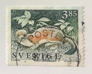 Sweden 1996 Scott 1931 used - 3.85kr,  Wild Animals,  Stoat, Mustela erminea