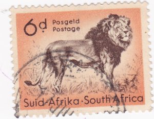 South Africa - 1954 Wild Animals Lion 6d used