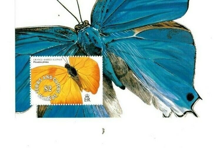 Turks and Caicos - 1991 - Butterflies  - Souvenir Sheet - MNH (Scott#902)