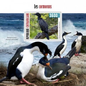Central Africa - 2020 Little Black Cormorants - Stamp Souvenir Sheet - CA200618b