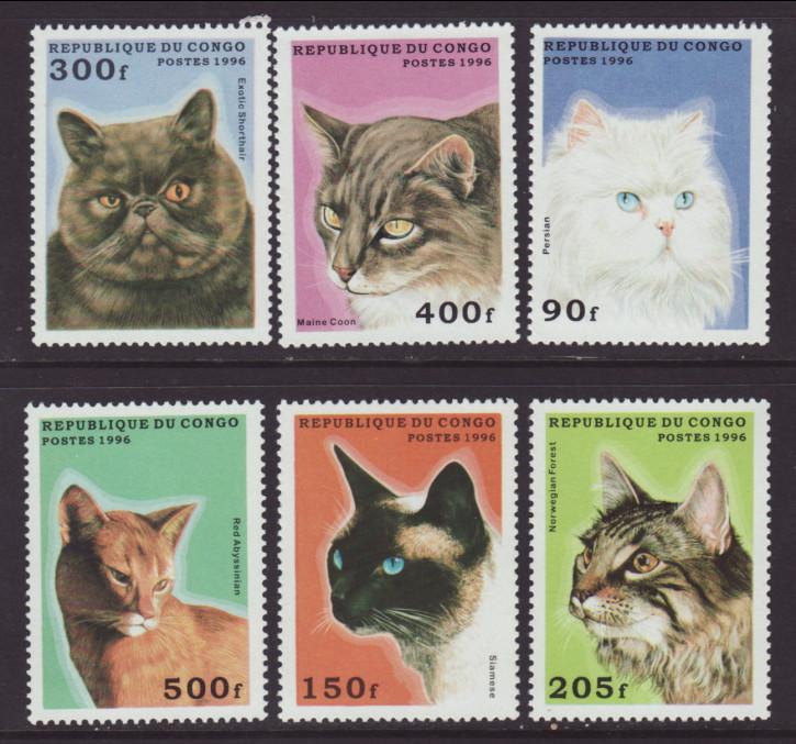 Congo 1095-1100 Cats MNH VF