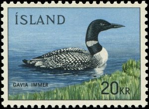 Iceland 1967 Sc 388 Bird Loon CV $6