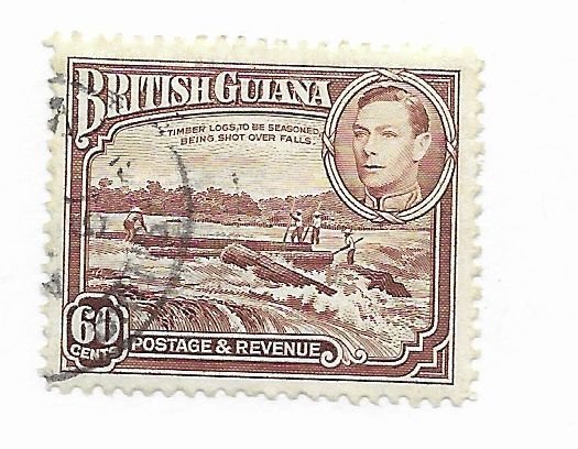 British Guiana #237 Used - Stamp - CAT VALUE $9.00