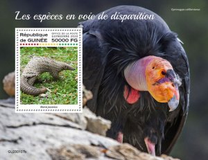 Guinea Endangered Wild Animals Stamps 2020 MNH Pangolins Condors Vultures 1v S/S