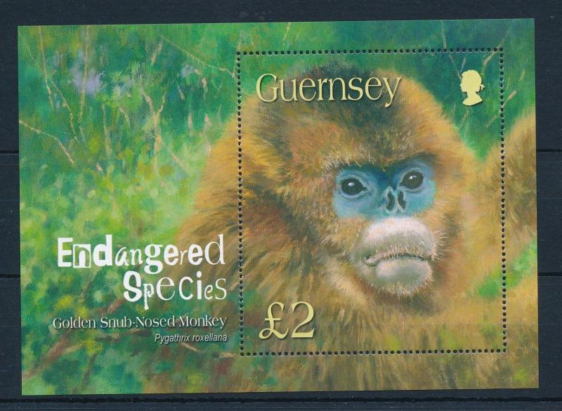 [29726] Guernsey 2004 Wild Animals Endangered species Monkey MNH Sheet