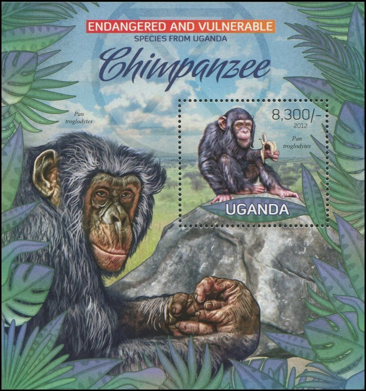 Uganda 2012 Sc 2012 Endangered Chimp CV $6