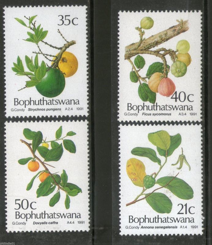 Bophuthatswana 1991 Edible Wild Fruits Trees Plants Flora Sc 254-57 MNH # 4286