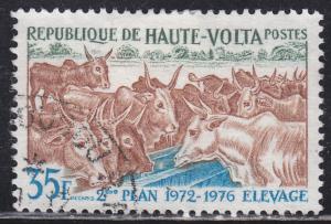 Burkina Faso 278 Domesticated Cattle 1972