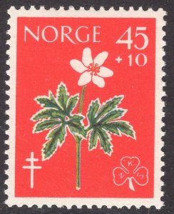 NORWAY SCOTT B62