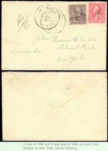 1894 Cover, SHANNON, KAS CDS, to FLORAL PARK, NY, SPECIAL DELIVERY, SC #225 #248