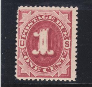 US Sc J22 MNH. 1891 1c claret Postage Due, unwatermarked, exc color, F+