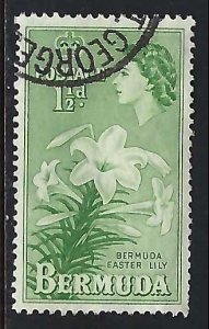 Bermuda 145 VFU FLOWERS M1116-8