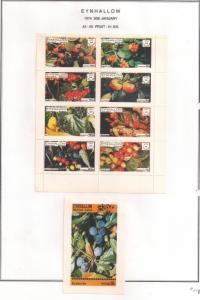 SCOTLAND - EYNHALLOW - 1974 - Fruit - Perf 8v, Souvenir Sheets - MLH