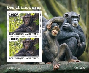 BURUNDI - 2022 - Chimpanzees - Perf 2v Souv Sheet - Mint Never Hinged