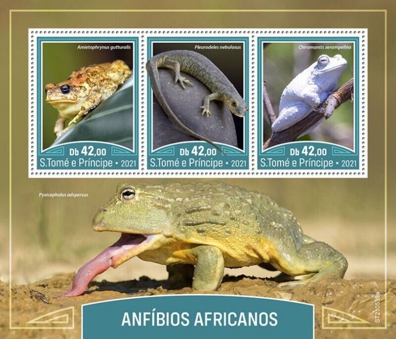 St Thomas - 2021 African Amphibians, Common Toad - 3 Stamp Sheet - ST210539a