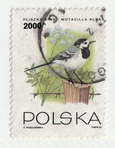 Poland      3166        used