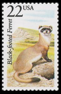 US 2333 North American Wildlife Black-footed Ferret 22c single MNH 1987