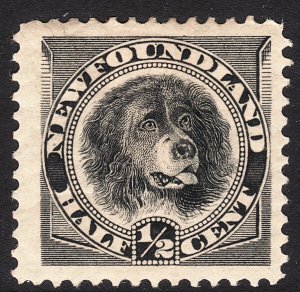 Sc# 58 1894 Newfoundland Canada Newfoundland Dog ½¢ black MM-HH CV $14.00 stk 2