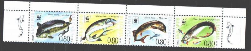 Bulgaria. 2004. 4678-81. Endangered fish. MNH.