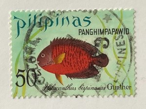 Philippines 1972 Scott C104 used - 50s,  Fish, Twospined Angelfish
