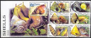 Somali 1999 Snails Shells set of 6 + S/S MNH