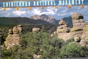 POSTCARD Arizona - Chiricahua National Monument-  Unaddressed